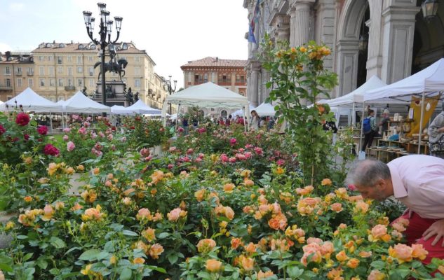 Flor Autunno 2020 Torino