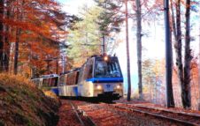 Il Treno del Foliage 2020: alla scoperta delle sfumature dell'autunno