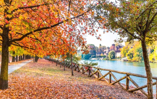 Foliage Parco Valentino Torino