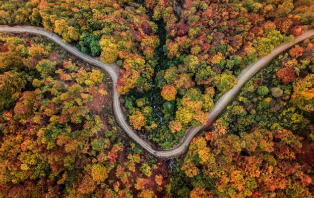 Oasi Zegna autunno passeggiate