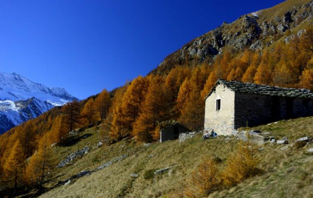 Parco Gran Paradiso autunno