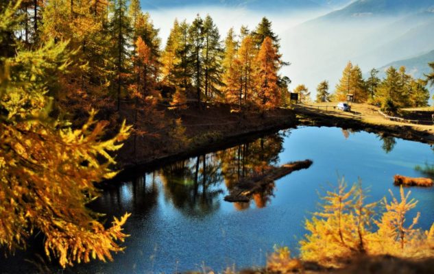 Parco naturale del Gran Bosco Salbertrand