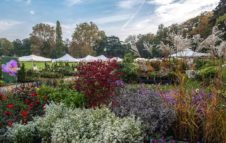 Tre giorni per il giardino: fiori, piante e colori d'autunno al Castello di Masino