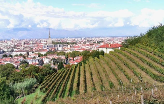 Vendemmia a Torino - Grapes in Town 2020