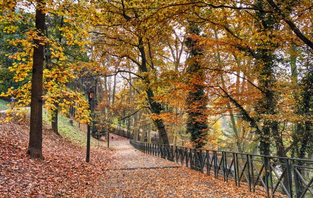 I Sentieri della Collina di Torino: percorsi e passeggiate nella Natura in centro città