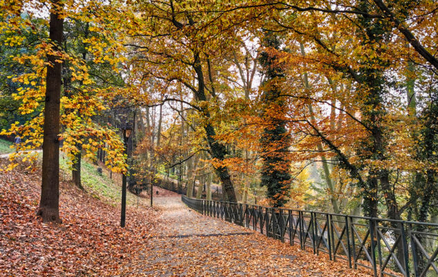 Collina Torino Sentieri