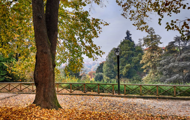 Collina Torino sentieri