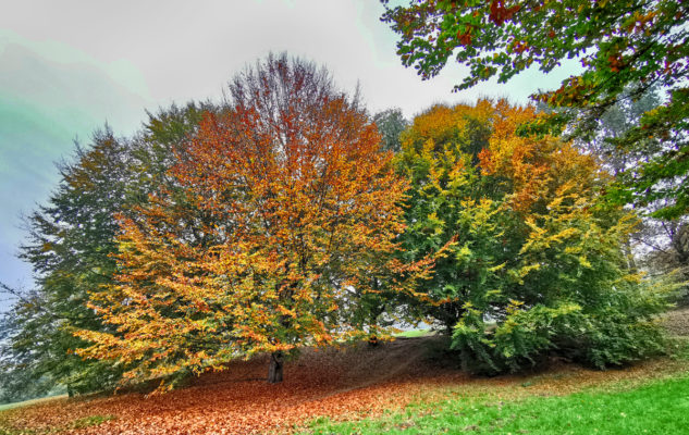 Collina Torino passeggiate