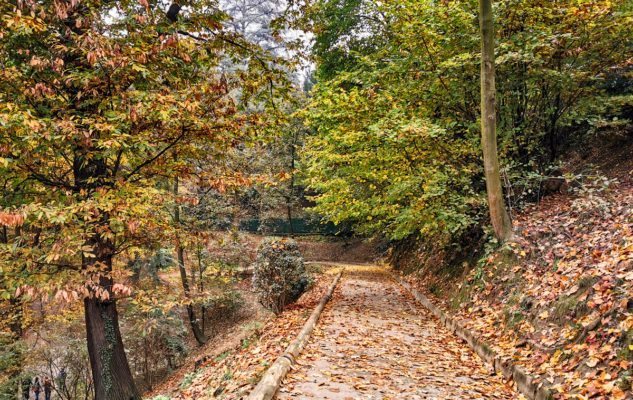 Collina Torino sentieri