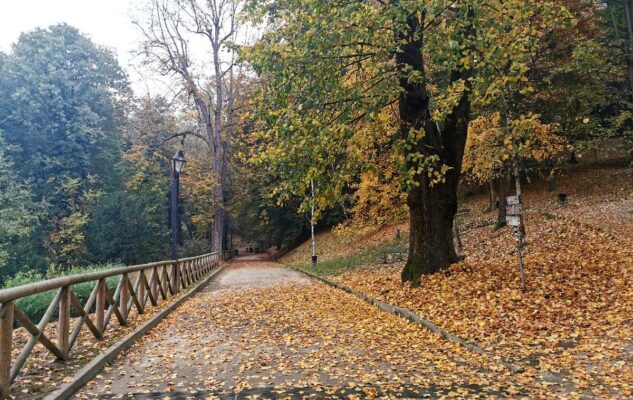 Parchi di Torino: i 10 più belli per perdersi nella Natura a pochi passi dalla città