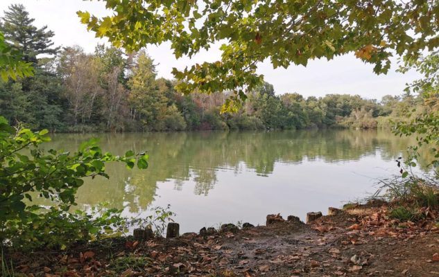 Parco della Mandria laghetti