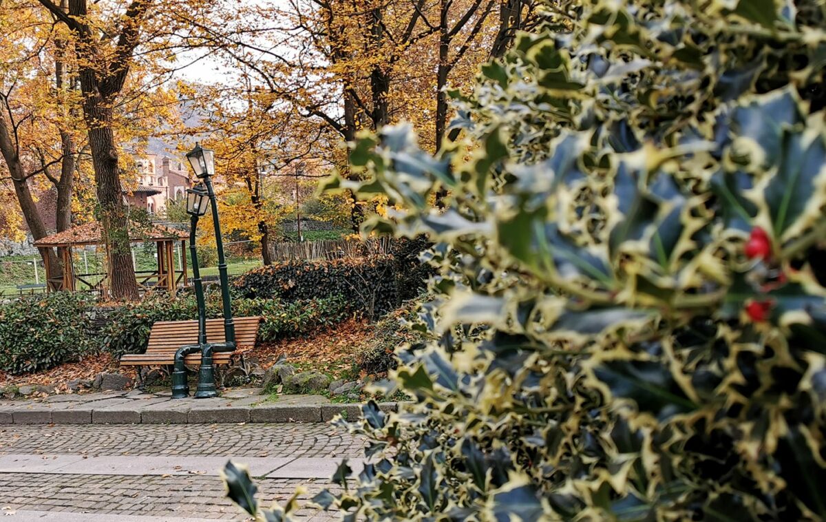 Foto di Guida Torino