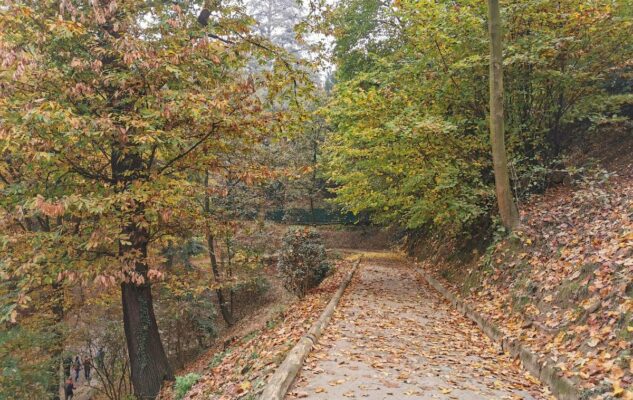 Il Parco Leopardi: una romantica passeggiata sui sentieri della Collina di Torino