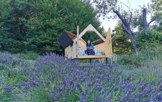 lavanda piemonte