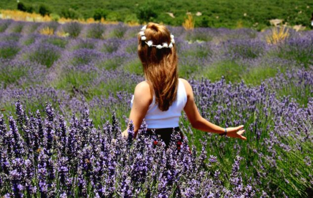 picnic lavanda piemonte 2021