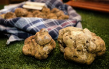 Fiera Internazionale del Tartufo Bianco d'Alba 2021: le date e il programma