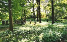 Dejeuner sur l’herbe: picnic gourmet tra fiori e piante all'Orto Botanico di Torino