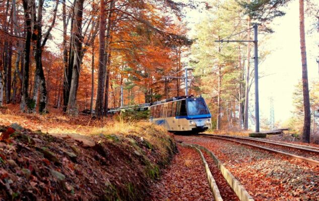 Treno Foliage Vigezzina