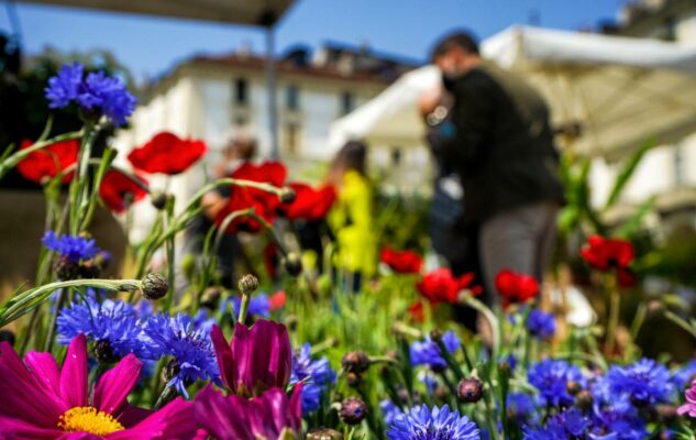 Agriflor: Piazza Carlo Alberto diventa un giardino fiorito con l’edizione ristretta di Flor