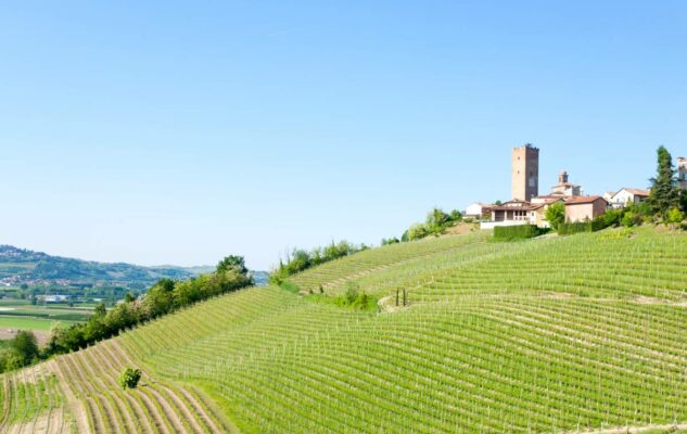 Barbaresco Langhe Piemonte