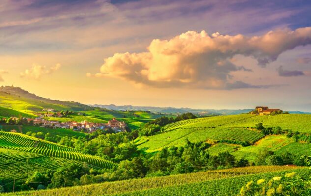 Ristoranti nelle Langhe: 10 agriturismi dove mangiare tra i vigneti