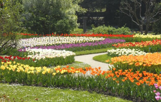 Labirinto Tulipani Villa Taranto