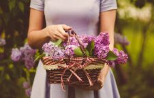 Flor Primavera 2022: Torino si trasforma in un grande giardino