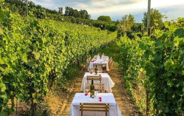 Cena in Vigna Langhe 2022