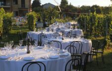 Cena in Vigna nel Monferrato: musica e degustazioni tra i filari in una dolce notte d'Estate