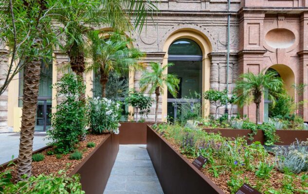 Flora dell’Antico Egitto: fiori di loto e papiri nel nuovo Giardino del Museo Egizio di Torino