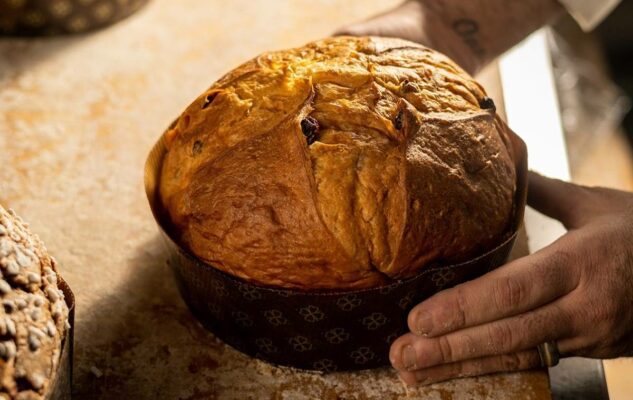 Scarcella panettone Torino