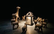 “La Migrazione degli Animali” alla Casa del Teatro Ragazzi: date e biglietti