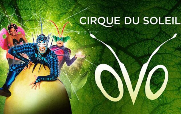 Il Cirque du Soleil a Torino nel 2023 con “OVO”: date e biglietti del grande spettacolo