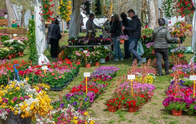 Ortoflora e Natura 2023 a Carmagnola: piante, fiori ed eccellenze enogastronomiche