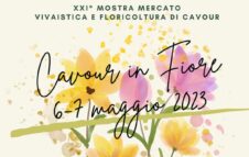 Cavour in Fiore 2023: il programma della manifestazione floreale