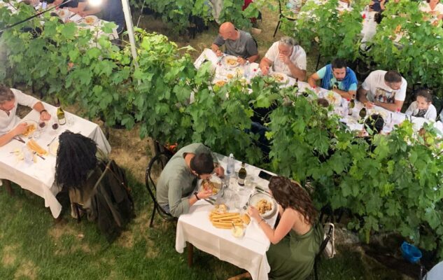 Cena vigna Langhe 2023