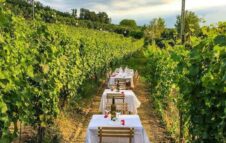 Cena in Vigna 2023: degustazioni sotto le stelle nei vigneti delle Langhe