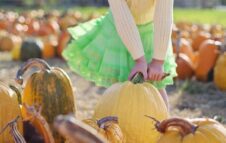 Zucche in festa a JollyLAND: atmosfere d'autunno al Family Village di Vinovo