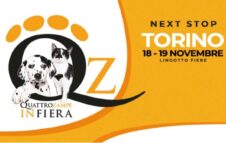 Quattrozampeinfiera 2023 a Torino: il mondo a misura di cane e gatto