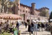 Fiorile 2024 al Castello di Moncalieri: fiori, piante e passeggiate immersive