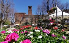 Ortoflora & Natura 2024 a Carmagnola: piante, fiori, eventi gratuiti e degustazioni