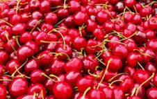 Festa delle ciliegie di Pecetto 2024: eventi, degustazioni e mercati