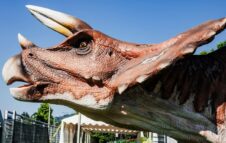 JollyLAND 2024: alle porte di Torino torna il parco per famiglie con la "Dinosaurs Experience"