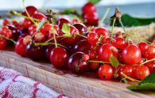 Sagra dell’Amarena di Trofarello 2025: sapori autentici e serate danzanti sotto le stelle