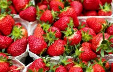 La Sagra della Fragola 2025 torna a Sommariva Perno: gusto, tradizione e musica dal vivo