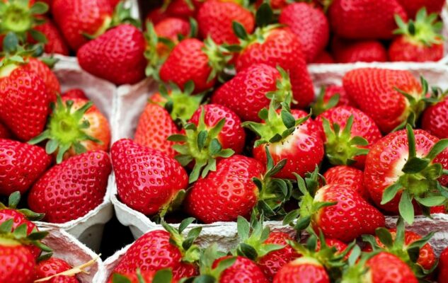 Sagra della Fragola 2025 torna a Sommariva Perno