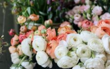 Torna a Torino il Mercato dei Fiori: nuova location tra piante, natura e sapori