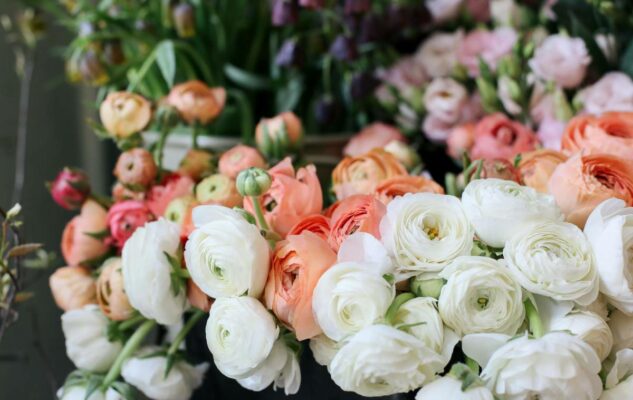 Mercato dei Fiori Agriflor Torino Giugno 2025