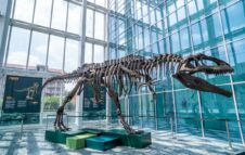 “Un dinosauro a Palazzo”: il Giganotosaurus in mostra gratuita al Grattacielo Piemonte