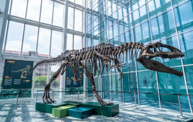 “Un dinosauro a Palazzo”: il Grattacielo Piemonte 2025